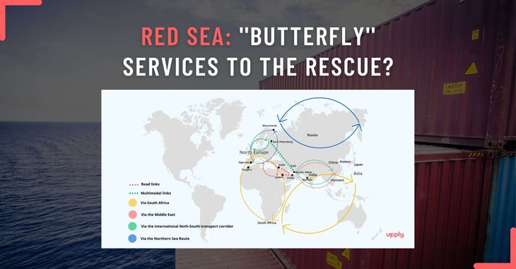 Could ''butterfly'' services be the answer to the Red Sea problem?