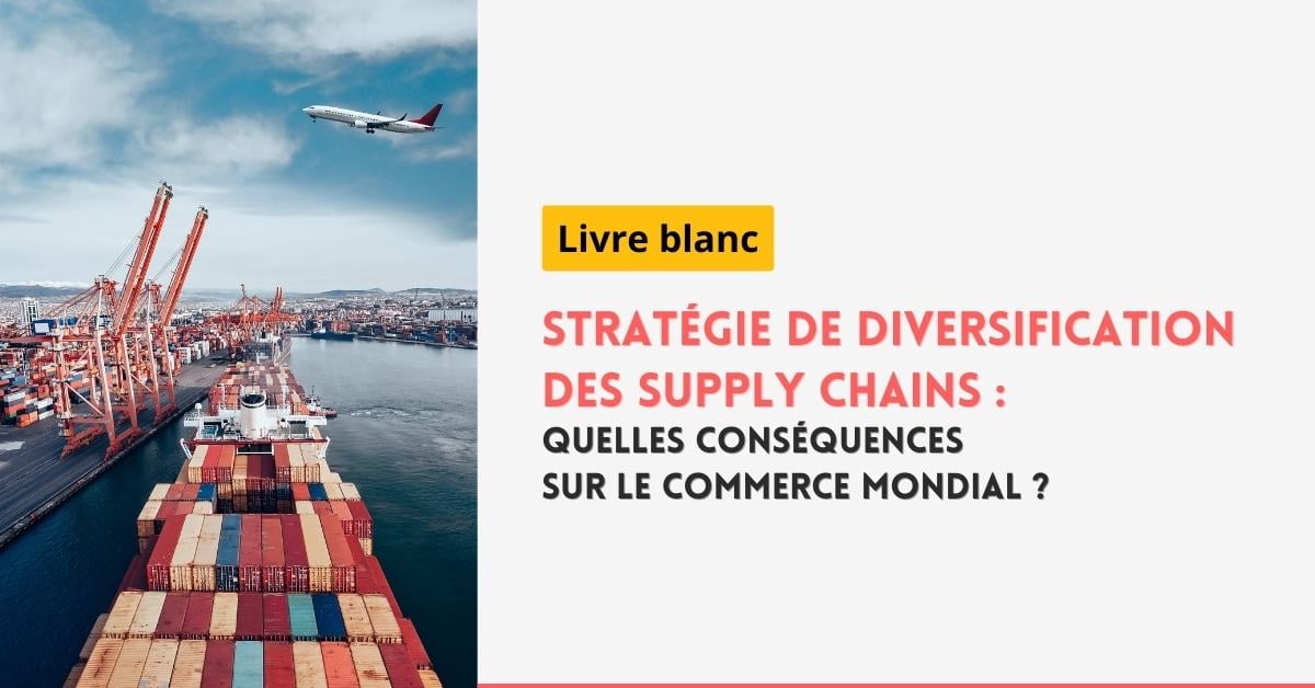 avion-porte-conteneur-diversification-supply-chain
